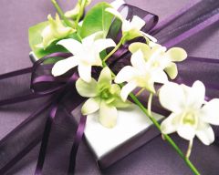 Tapeta Nature Flowers 535.jpg